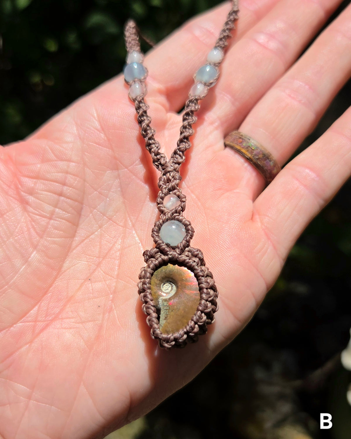 Iridescent Ammonite Macrame Necklace