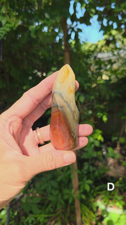 Polychrome Jasper Flames