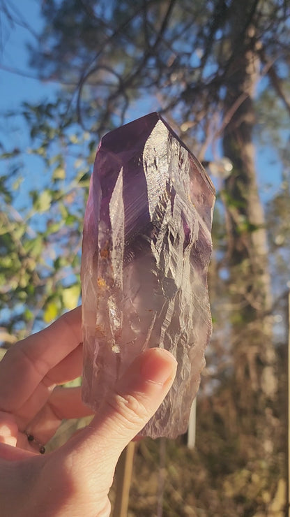 Dragon Tooth Amethyst in Custom Wood Base Bahia Amethyst