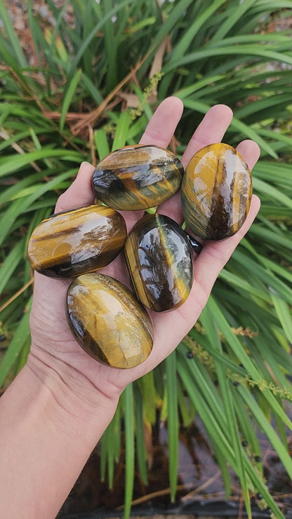 Tiger Eye Palm Stone