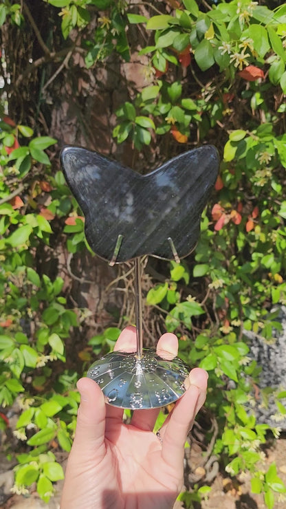 Midnight Lace Obsidian Butterfly on Stand
