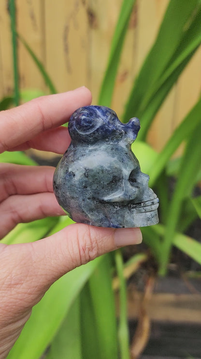 Sodalite Snail on Skull