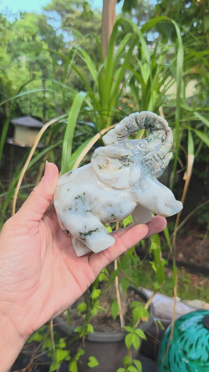 Large Moss Agate Elephants