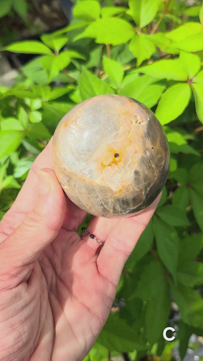 Black Moonstone Palm Stone