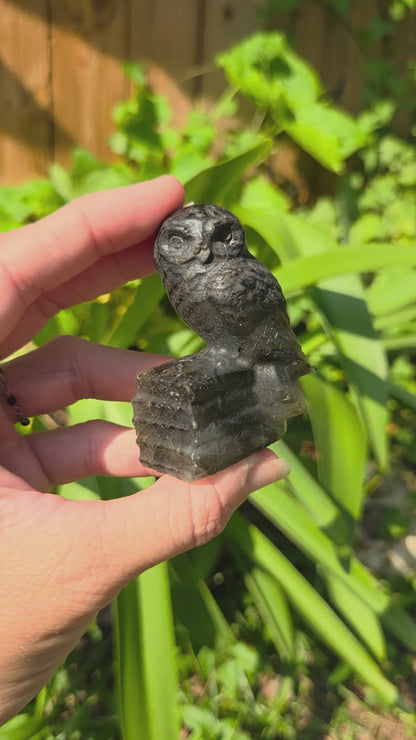 Owl on Books (Emberlite, Fluorite, Green Aventurine, Labradorite, or Rose Quartz)