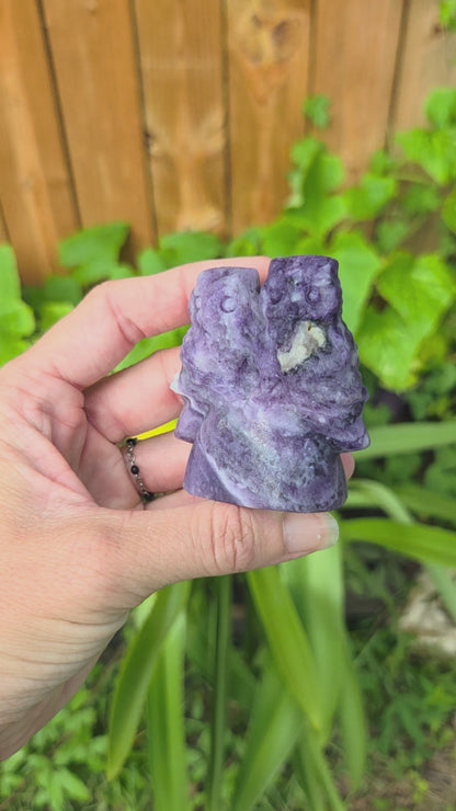 2 Owls on Rock (Fluorite, Sanskrit Jasper, or Sodalite)