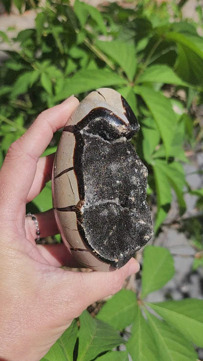 Druzy Septarian Self Standing Egg
