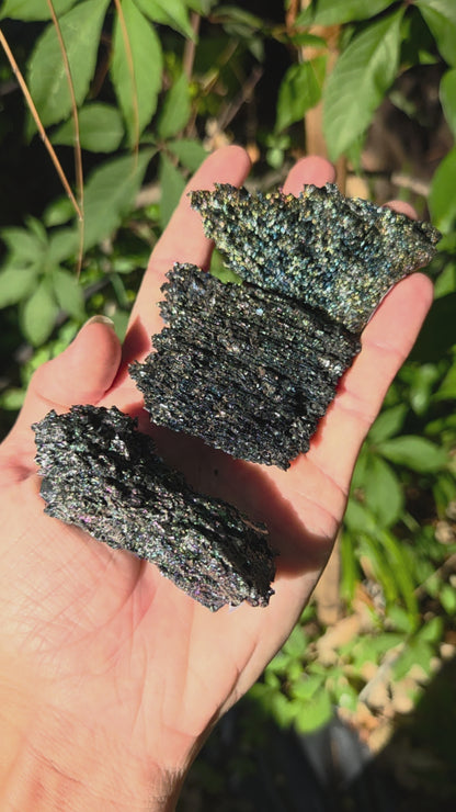 Rainbow Carborundum
