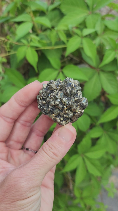 Marcasite Nodules