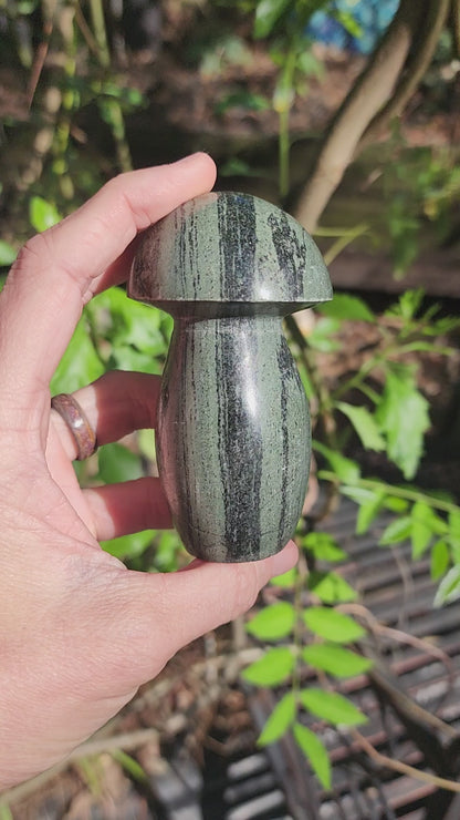 Green Striated Jasper Mushroom