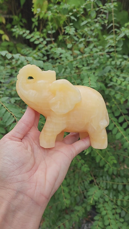 Yellow Calcite Elephant