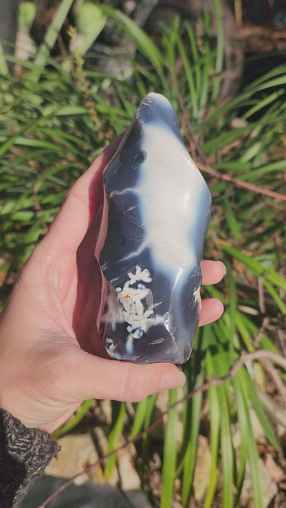 Orca Agate Flames