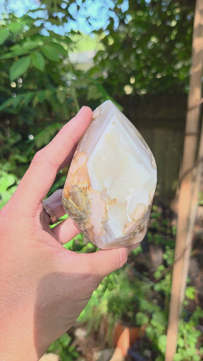 Flower Agate Flames