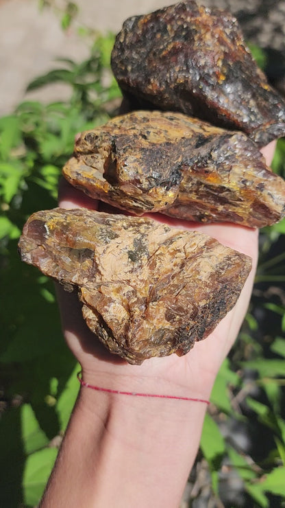 Large Indonesian Amber Chunks UV Reactive