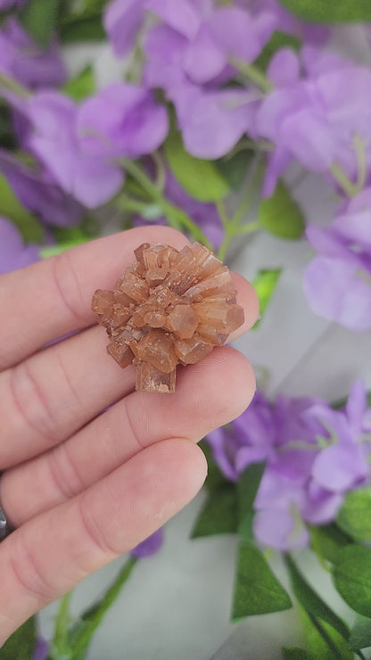 Aragonite Sputnik Cluster