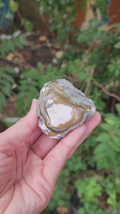 Raw Carnelian Agate (some Carnelian Orca Agate)