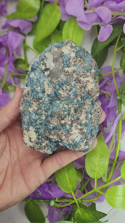 Rare Blue Tourmaline (Indicolite) and Lepidolite in Quartz Specimens