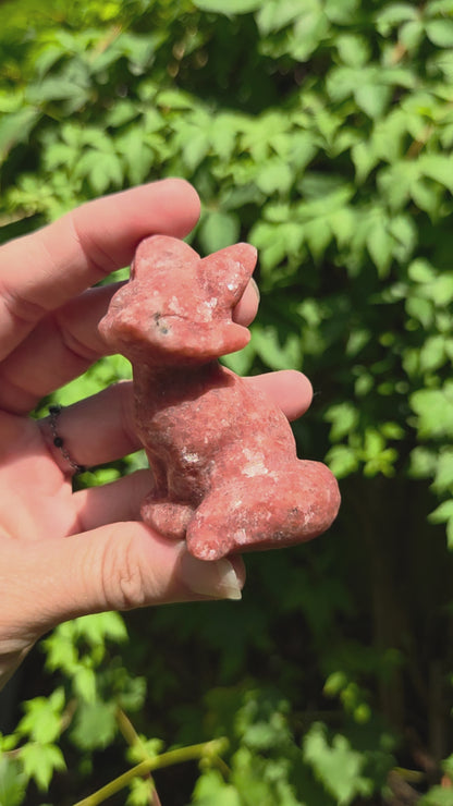 Foxes (Kiwi Jasper, Mookaite Jasper, or Rhodonite)