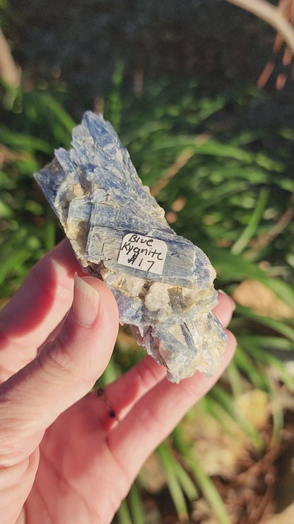 Blue Kyanite with Quartz Clusters