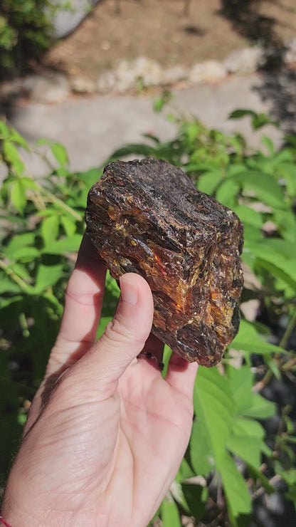 Large Indonesian Amber Chunks UV Reactive