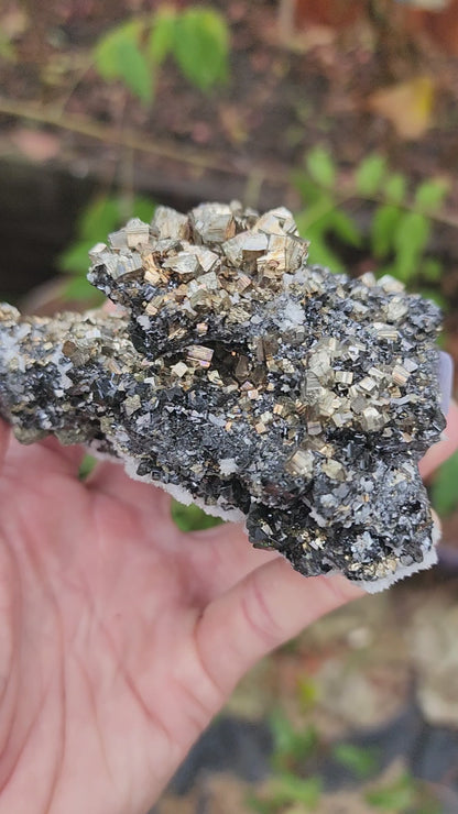 Pyrite w/ Black Magnetite and Calcite Larger Specimens