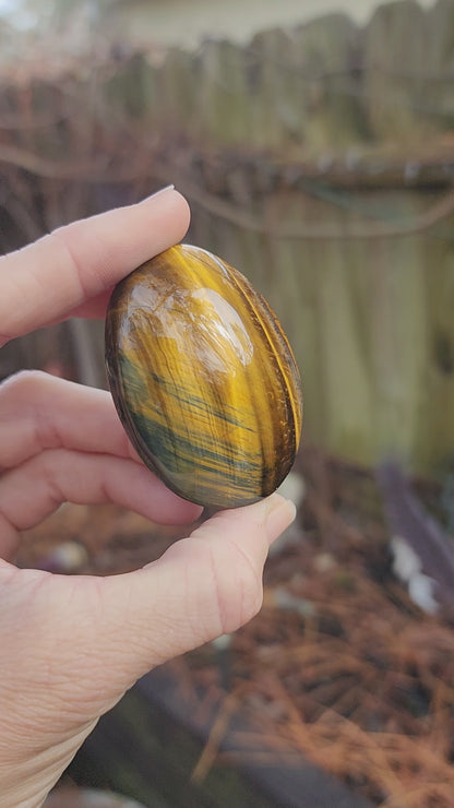 Tiger Eye Palm Stone