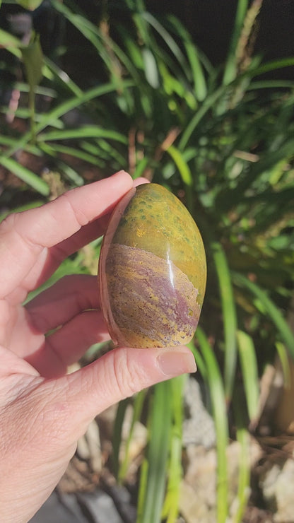 Sea Jasper Freeforms