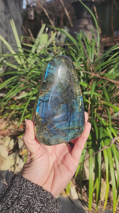 Labradorite Freeform