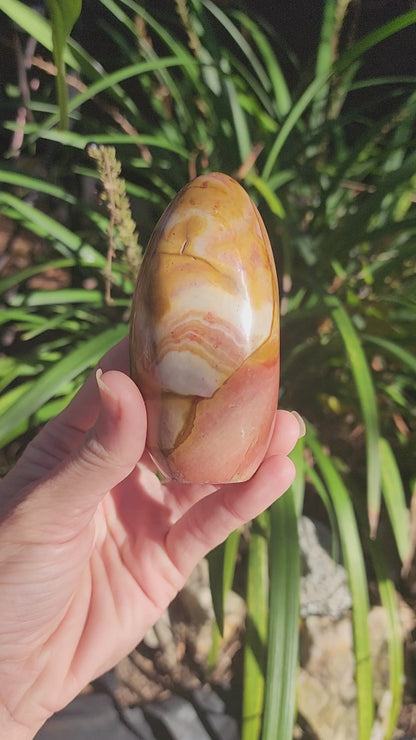 Polychrome Jasper Freeforms