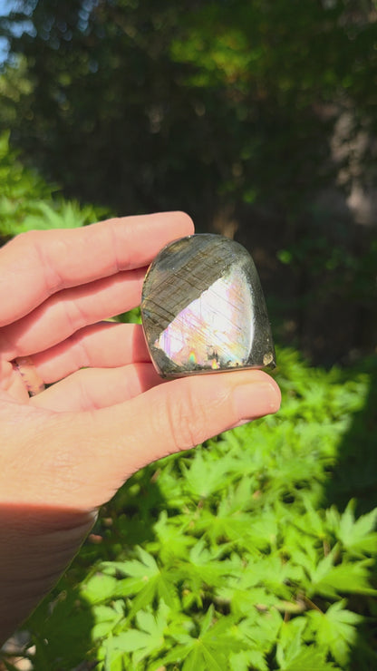 Small Labradorite Freeforms