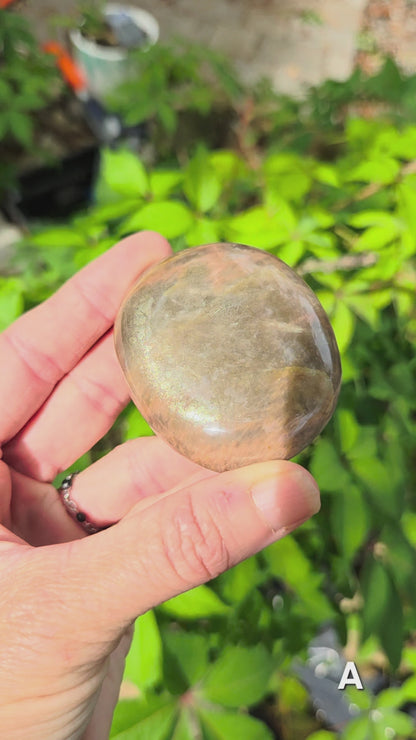 Black Moonstone Palm Stone