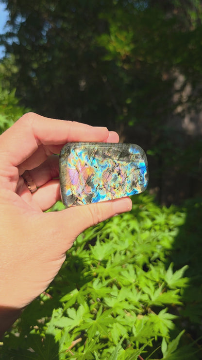 Small Labradorite Freeforms