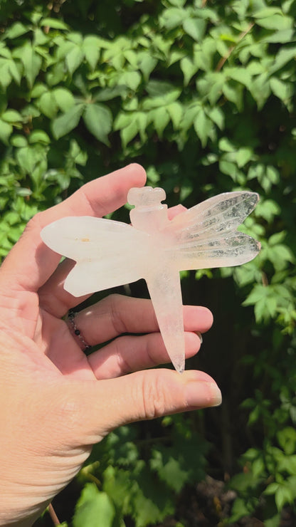 Dragonfly Carvings (Black Obsidian or Rose Quartz)