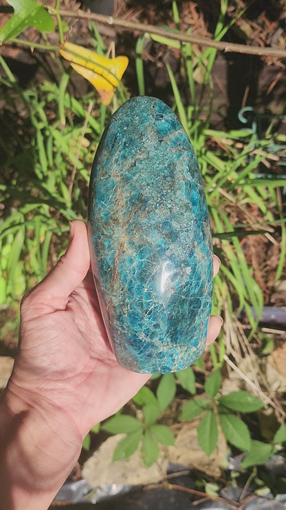 Large Blue Apatite Freeform