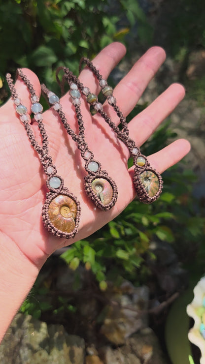 Iridescent Ammonite Macrame Necklace