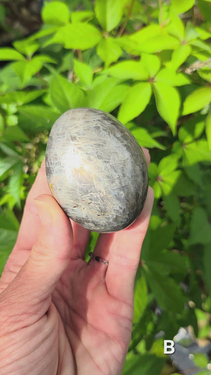 Black Moonstone Palm Stone
