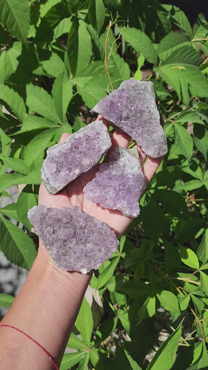 Amethyst Cluster