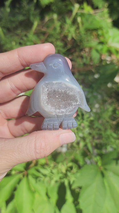 Druzy Agate Penguin