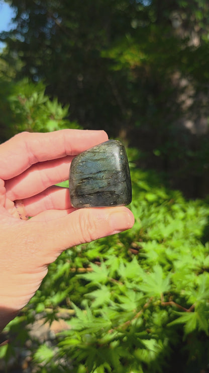 Small Labradorite Freeforms