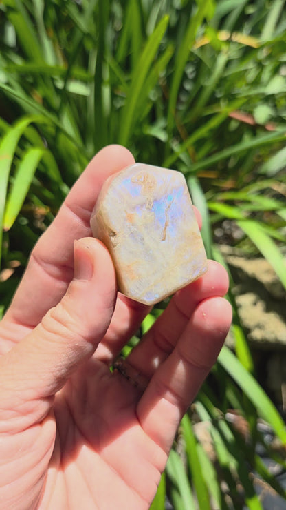 Rainbow Moonstone Angular Freeforms