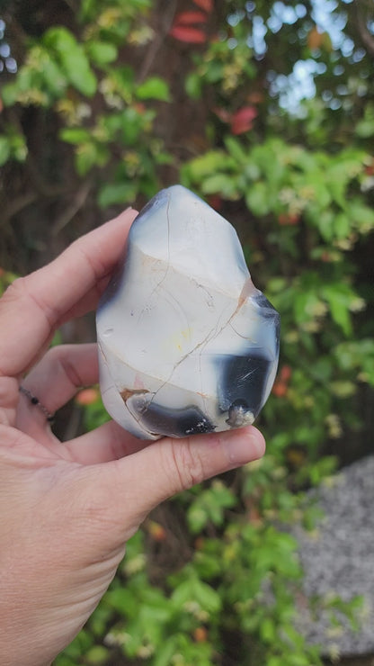 Orca Agate Flames