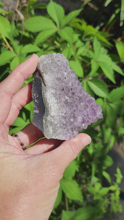 Amethyst Cluster