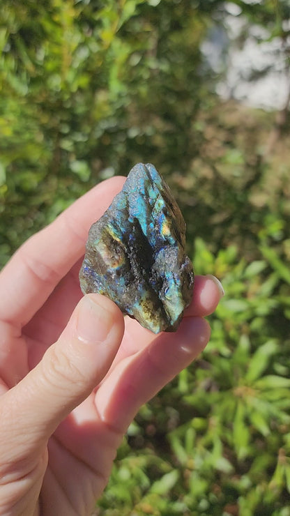 Rough Raw Labradorite