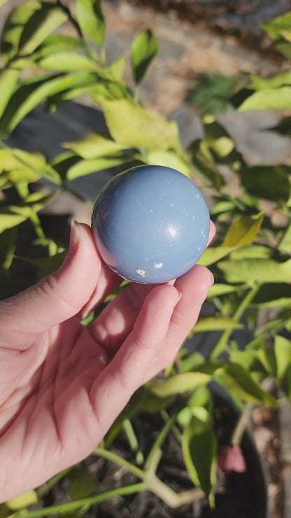 Angelite Sphere