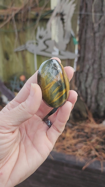 Tiger Eye Palm Stone