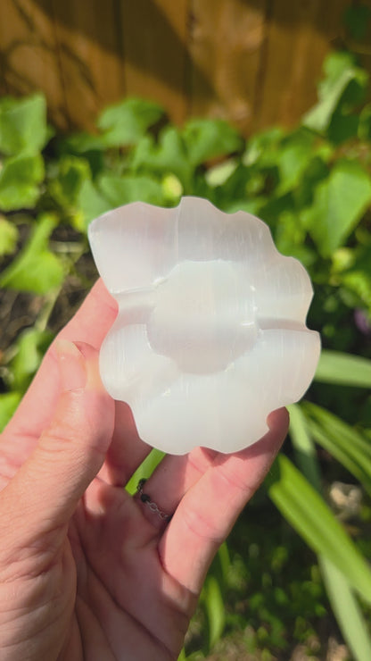 Satin Spar Selenite Ammonite Carving