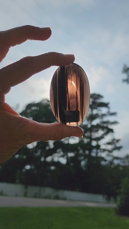 Midnight Lace Obsidian Palm Stone