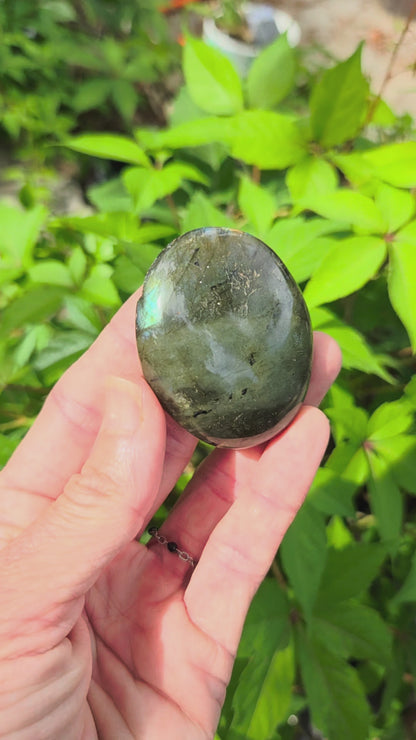Labradorite Palm Stone