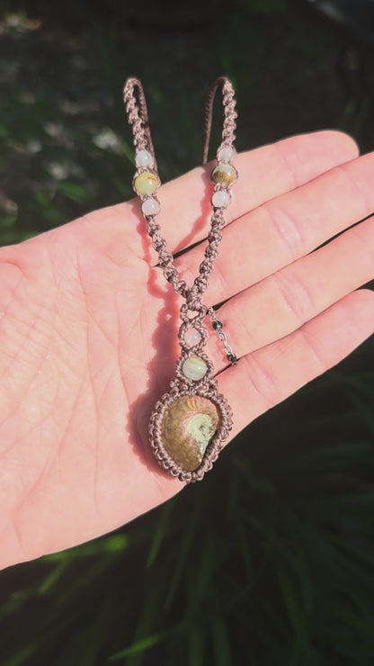 Iridescent Ammonite Macrame Necklace