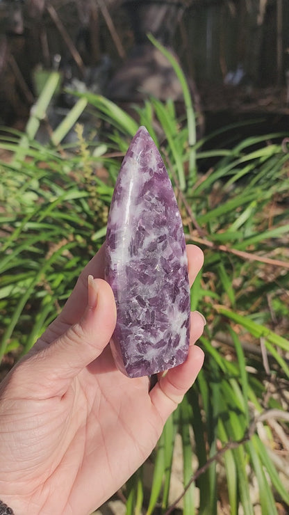 Lepidolite Freeform